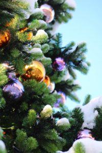 christmas tree, christmas decorations, fir branch-7649038.jpg